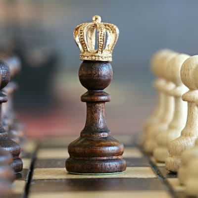 Campaign Strategies, Development & Tracking Campaign Strategies, Development & Tracking