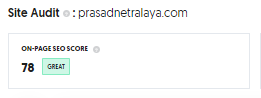 site audit