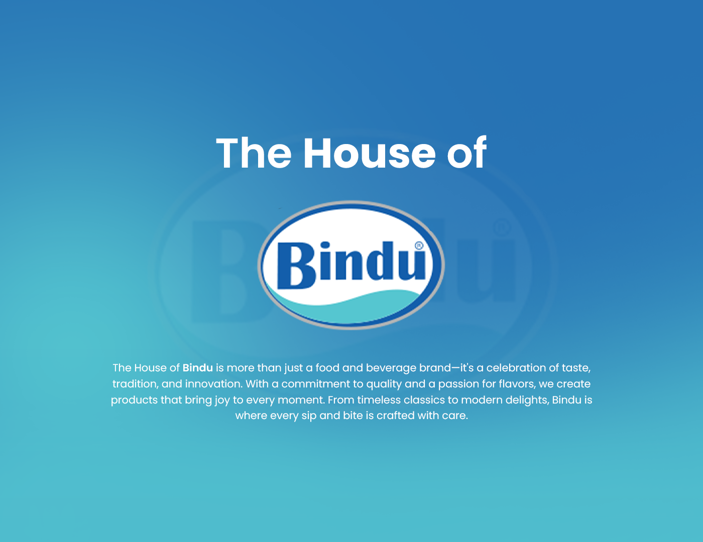bindu portfolio 01
